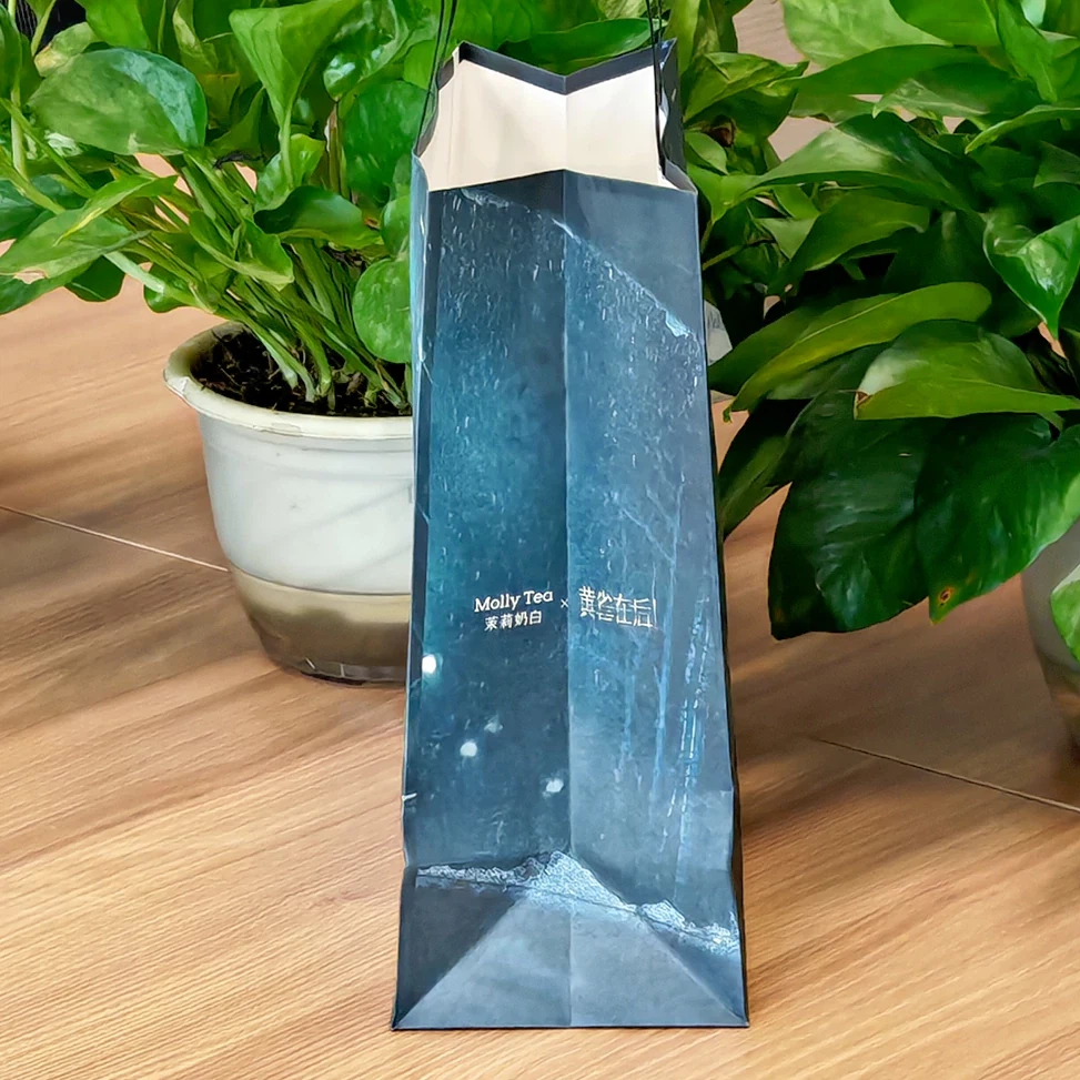 Carrier Bag Printing